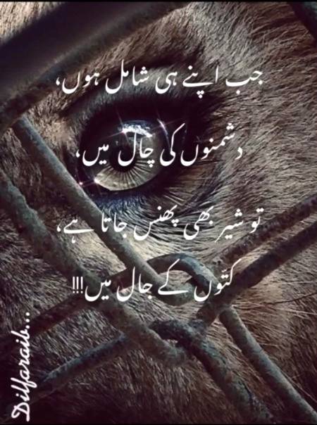 Shah Jee.....😘😍😘😍😘😍😘😍😘