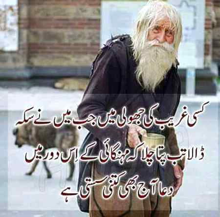 hlo friends