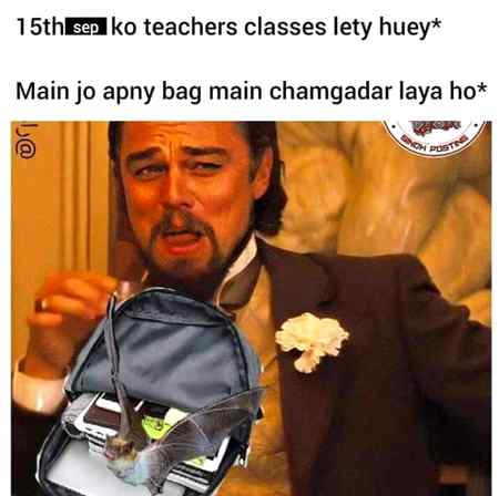 Memes & Satire image