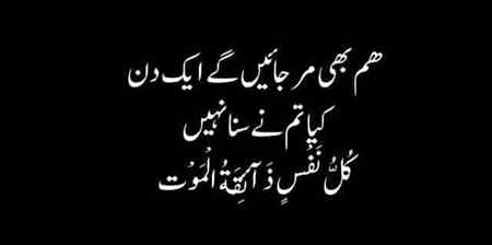 Hum mar bhi jayen to kya?