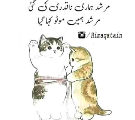 Asslam-o-Alikum everyone