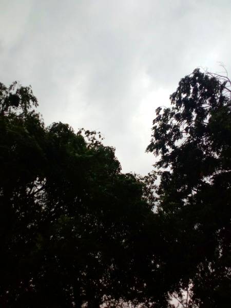 My village weather..😇😊💦🌧️☔🌧️😍😍 Awesome 😍