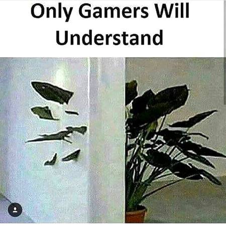 ...☺☺☺...