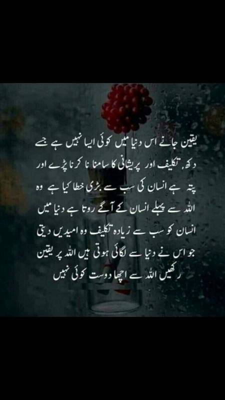 Nice lines