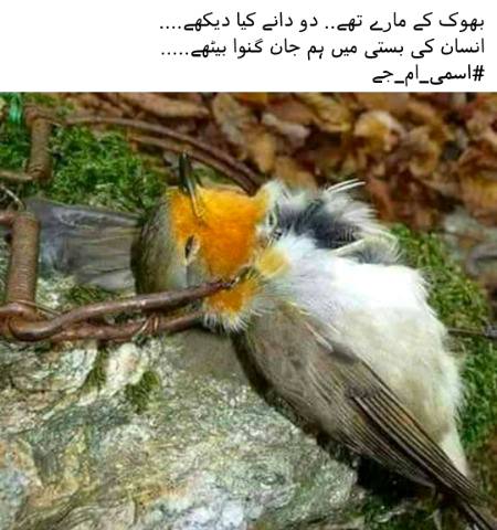 Insaan itna Bhi Bura Nahi😊😊Basharty K Wo Insaan Hi Ho👍👍👌💔💔but its impossible now to find out Insaan among People...