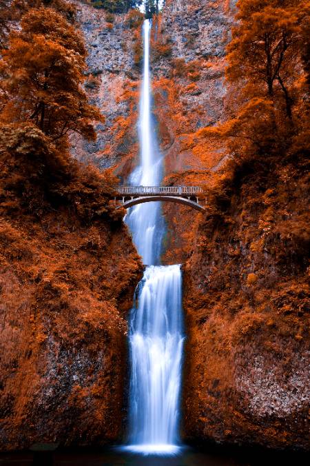 ہاں آج درد کی وہ شدت ہے 
 جس میں کہتے ہیں موت بہتر ہے