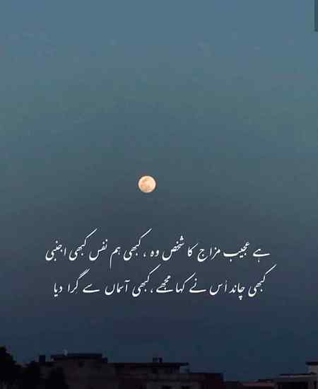 عیادت رسم دنیا تھی چلے آتے تو کیا ہوتا 
تمہارے پوچھ لینے سے نہ جی جاتے نہ مر جاتے