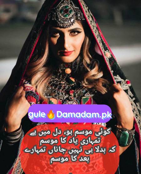 gule🌹Damadam Lover🔥