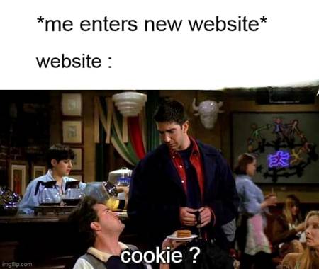Hamare cookies lylo
