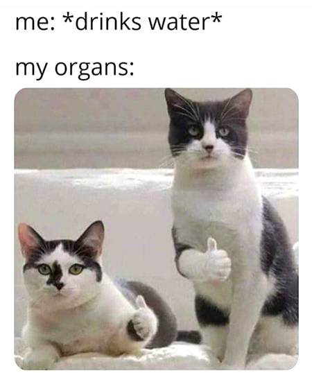 Stay hydrated bros