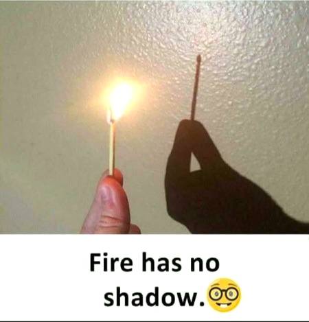 No shadow