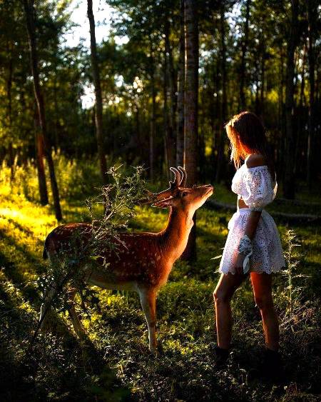 Stunning wildlife photography!