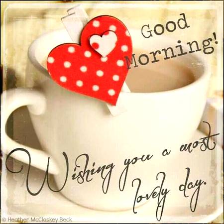 A ver very sweet morning to all my sweet frndz. 🌹❤️😍😇