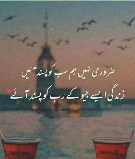 💕💕💕 sobeya