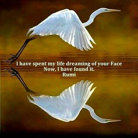 RUMI'S WORDS