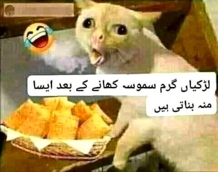 Such ha na frndz.?