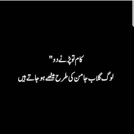 ...absoutly...🙄