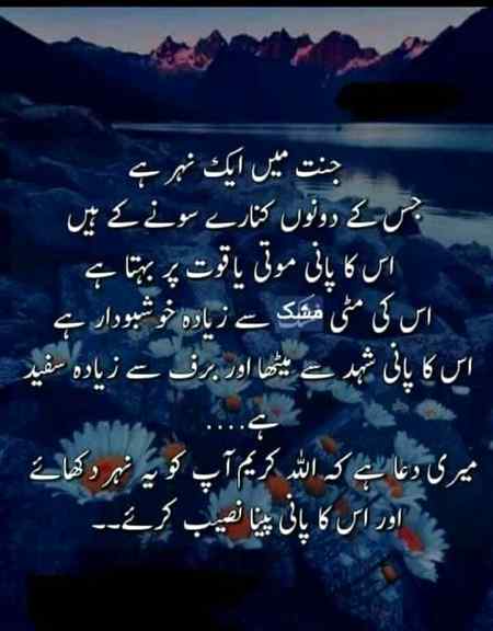 ❤❤❤❤🌷🌷❤❤❤❤🌷🌷❤❤❤❤