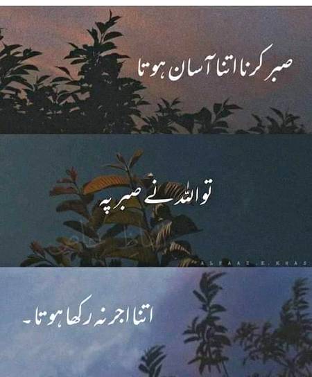 Bilkul ❤️🔥🔥