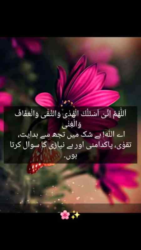 Beshak. ...💖