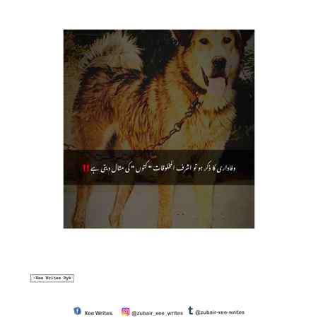 Right now 👍👍👍