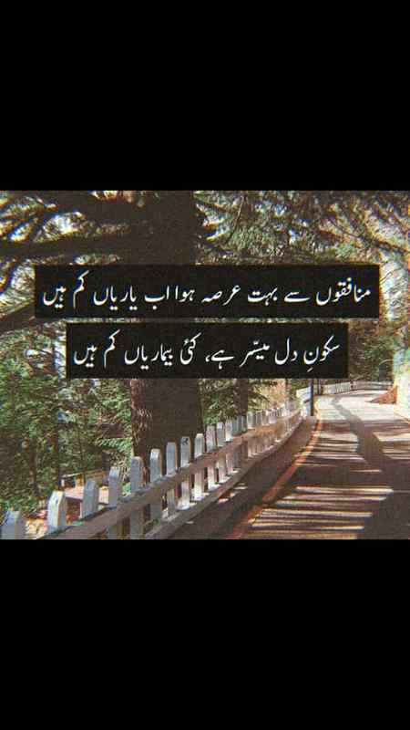 منافق۔۔۔.. .