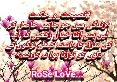🌹👍🌹🌹👍🌹👍🌹💗RIGHT💗🌹👍🌹👍🌹👍🌹