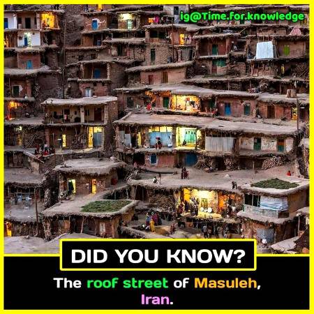 DID YOU KNOW??
