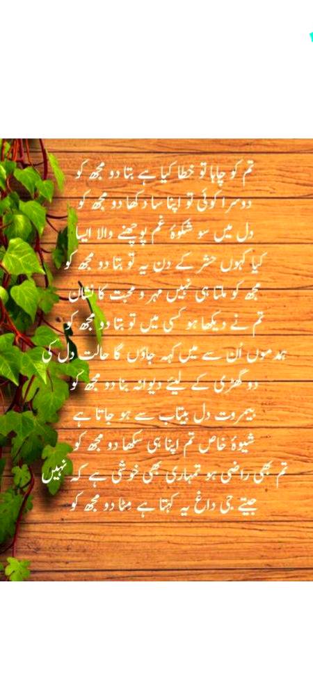 تم نے مجھ کو کھو دیا آزماتے آزماتے