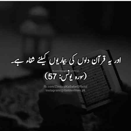 Beshak....❤❤❤