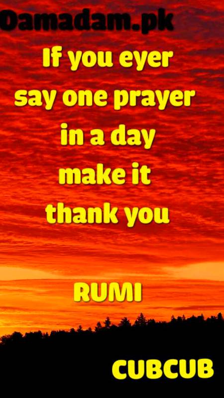 Rumi's words