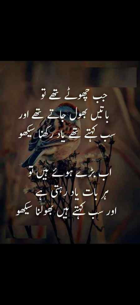 Sb kehty hai bhool na seekho