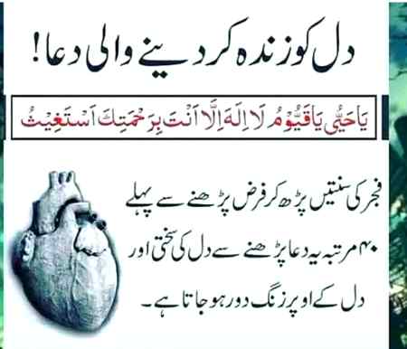 Dil ko zinda krny wali dua