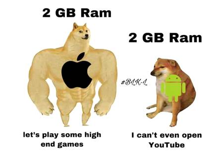 Fact....