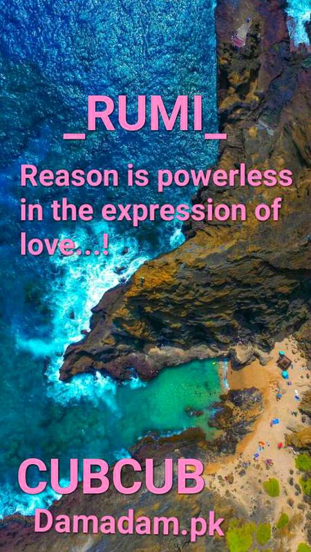 Rumi's words
