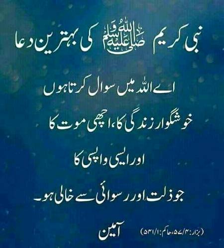 🌹🌹🌹صلی اللہ علی حبیبہ محمد نور من نوراللہ وعلی آلہ واہل بیتہ وعترتہ وازواجہ وصحبہ وجدہ وذریتہ و کل امتہ وبارک وسلم کثیراً کثیرا و دائماً ابدا 🌹🌹🌹