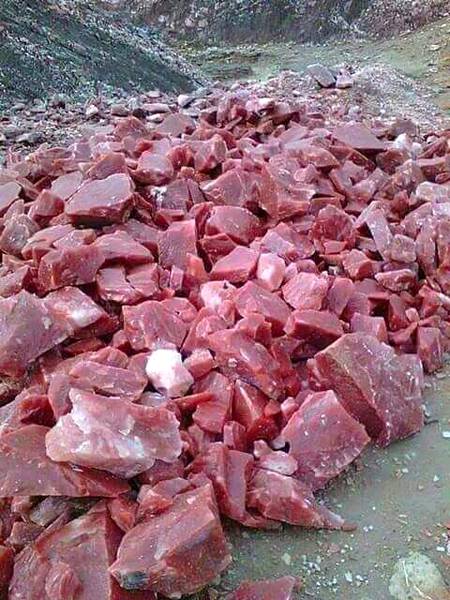 It is not meat