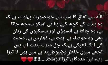 Beautiful lines...👍💖