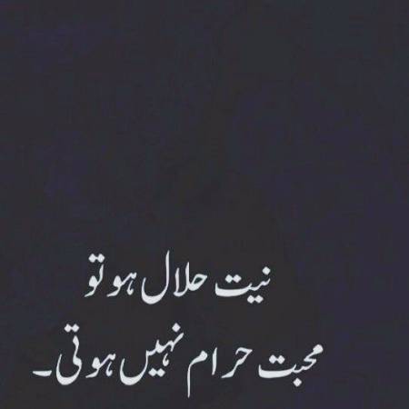 Point tu ha baat ma dam ha .💪pak mohabbat ....true love