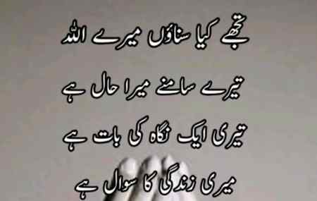 Aameen sum Aameen...🤲🐒🐵