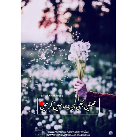 Tari adat toh thi sab sa dip lagana

Air hum pagal khud ko khush naseeb samjh baithe😔😔