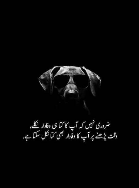 Yupp 👉😎😎😎