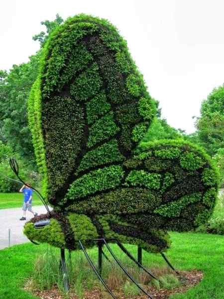 Beautiful butterfly.