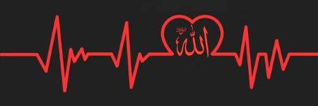 💖Life is a journey from ALLAH to ALLAH,
So let us make it for ALLAH💖