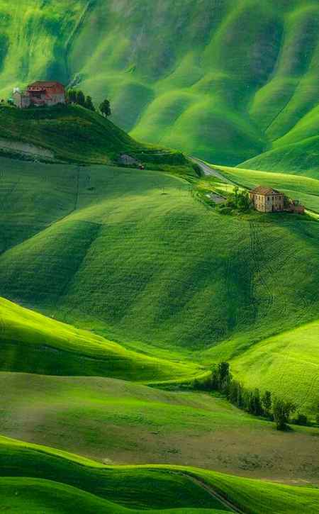 Nice green view