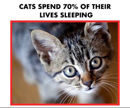 Did you know