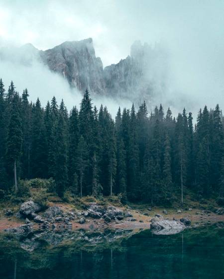Nature ❤❤