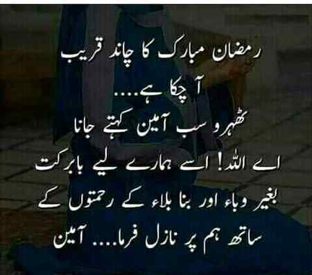 💕💕💕 sobeya