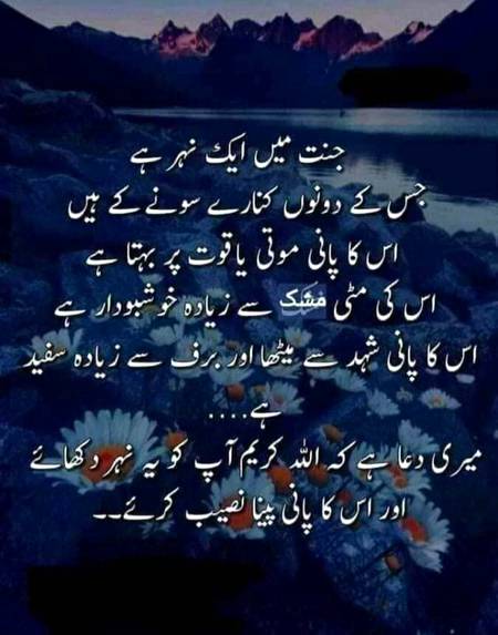 Sary bolo ameen