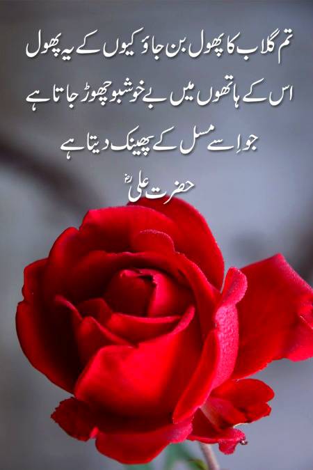 (*❛‿❛)→(☞ ͡° ͜ʖ ͡°)☞